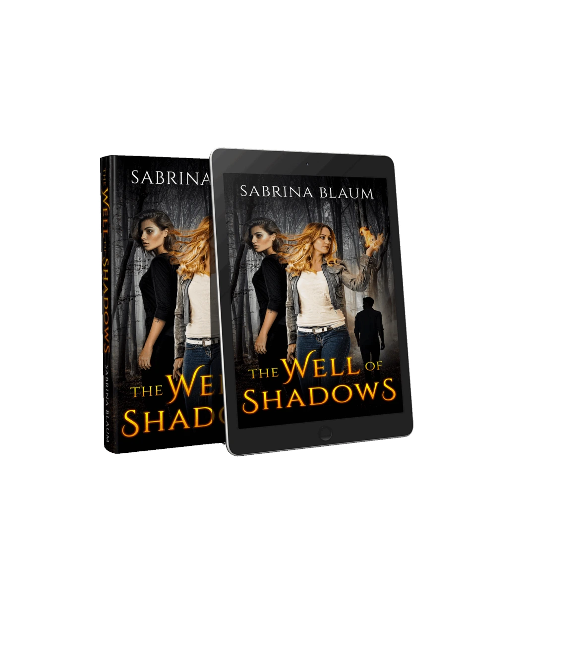 Well of Shadows book cover